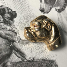 Bull-pug Pin