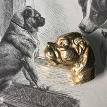 Bull-pug Pin
