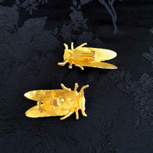 Cicada Clips