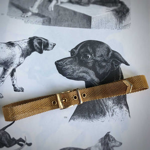 Dog Collar Buckle Choker/Bracelet