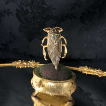 Giant Water Bug Stickpin