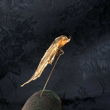 Giant Water Bug Stickpin