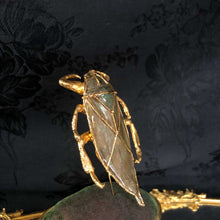 Giant Water Bug Stickpin