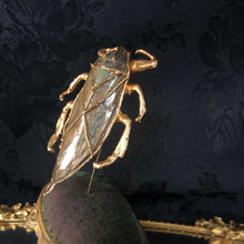 Giant Water Bug Stickpin