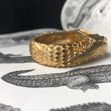 Kissing Crocodilians