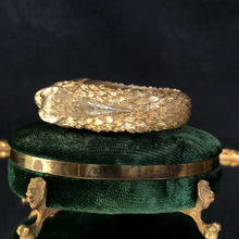 Kissing Crocodilians