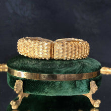 Kissing Crocodilians