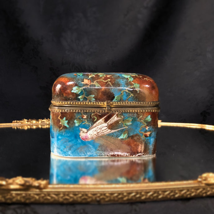 Antique Painted Enamel Bird Box