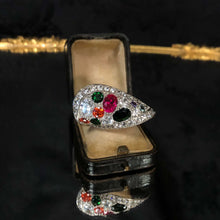 Paramecium Ring