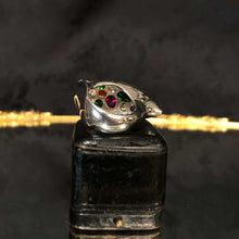 Paramecium Ring