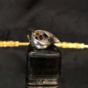 Paramecium Ring