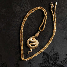 Rosy-eyed serpent