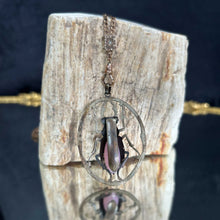 Rhinoceros Beetle