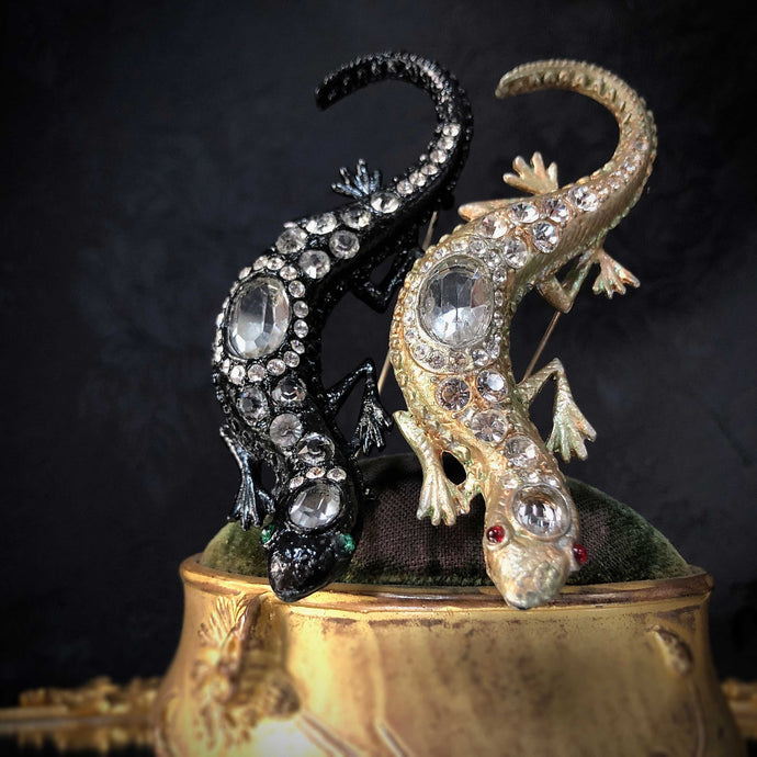 Jeweled Salamander