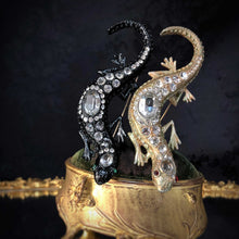 Jeweled Salamander