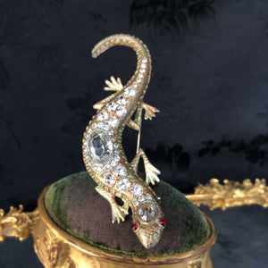 Jeweled Salamander