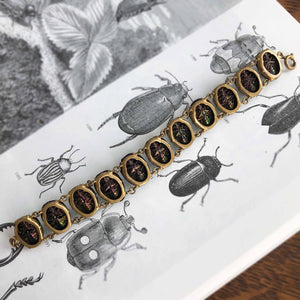 Biophilic Beetle-jewels