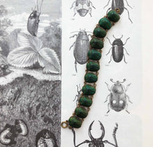 Biophilic Beetle-jewels