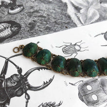 Biophilic Beetle-jewels