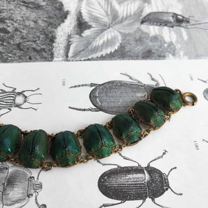 Biophilic Beetle-jewels