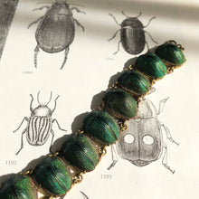 Biophilic Beetle-jewels