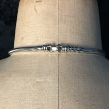 Silvery Draped Serpent