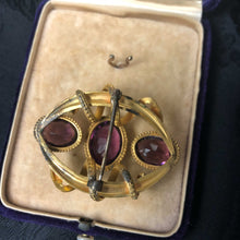 Purple Passion Serpent Brooch