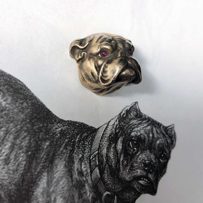 Jowly Antique Bulldog