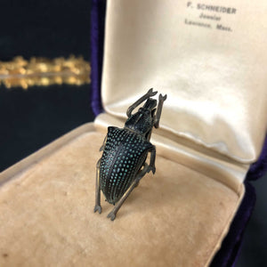 Victorian Diamond Weevil Brooch