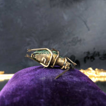 Victorian Diamond Weevil Brooch