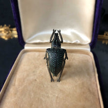 Victorian Diamond Weevil Brooch