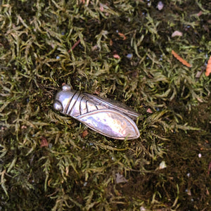 Cicada Pin