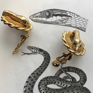 Coiled Snake Clips