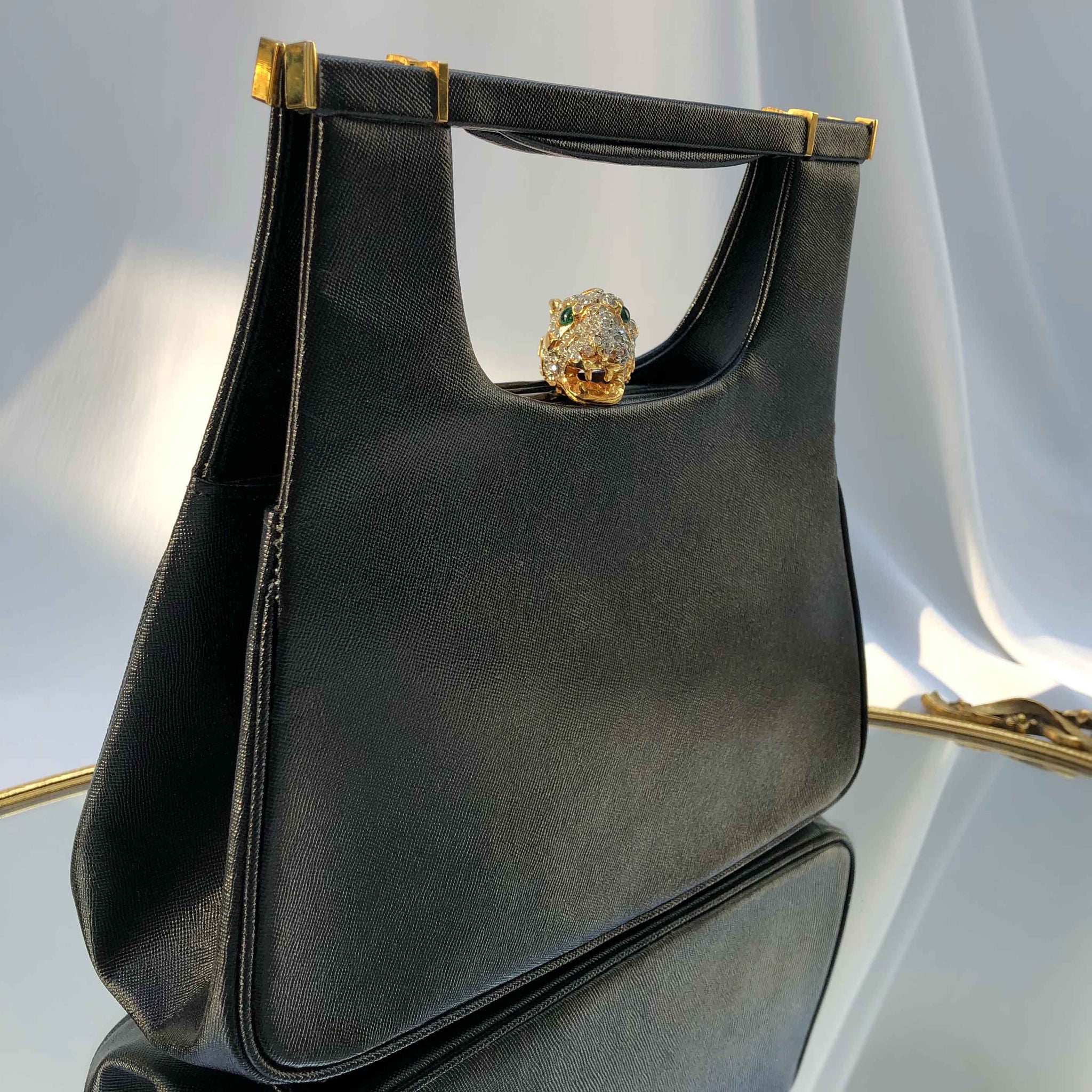 Jaguar Genuine Leather Ladies Handbag - Tana Elegant