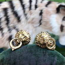 Exquisite Doorknocker Earrings
