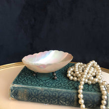 Scalloped Shell Dish